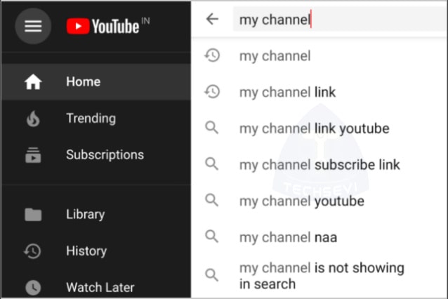 Show-My-Channel-In-Search-Results