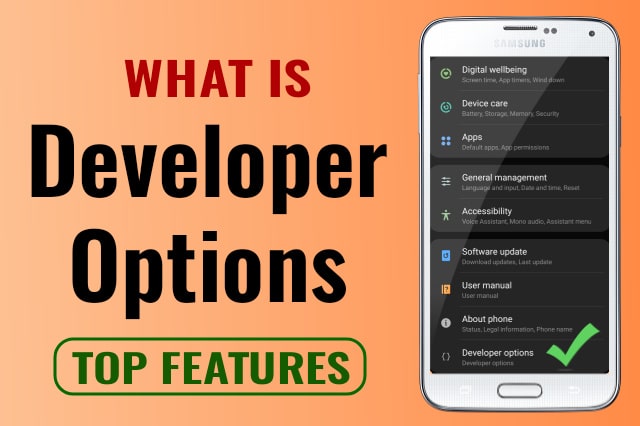 developer-options